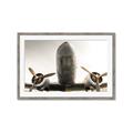 Picture of Plane of Yester Year _GroupedProduct_Rectangle_Landscape_Photography _GroupedProduct_Rectangle_Landscape_Framed_Matted_