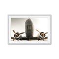 Picture of Plane of Yester Year _GroupedProduct_Rectangle_Landscape_Photography _GroupedProduct_Rectangle_Landscape_Framed_Matted_