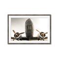 Picture of Plane of Yester Year _GroupedProduct_Rectangle_Landscape_Photography _GroupedProduct_Rectangle_Landscape_Framed_Matted_