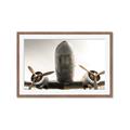 Picture of Plane of Yester Year _GroupedProduct_Rectangle_Landscape_Photography _GroupedProduct_Rectangle_Landscape_Framed_Matted_