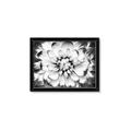 Picture of Black and White Flower _GroupedProduct_Rectangle_Landscape_Photography _GroupedProduct_Rectangle_Landscape_Framed_Matted_