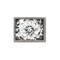 Picture of Black and White Flower _GroupedProduct_Rectangle_Landscape_Photography _GroupedProduct_Rectangle_Landscape_Framed_Matted_