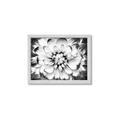 Picture of Black and White Flower _GroupedProduct_Rectangle_Landscape_Photography _GroupedProduct_Rectangle_Landscape_Framed_Matted_