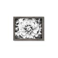 Picture of Black and White Flower _GroupedProduct_Rectangle_Landscape_Photography _GroupedProduct_Rectangle_Landscape_Framed_Matted_
