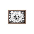 Picture of Black and White Flower _GroupedProduct_Rectangle_Landscape_Photography _GroupedProduct_Rectangle_Landscape_Framed_Matted_