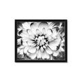 Picture of Black and White Flower _GroupedProduct_Rectangle_Landscape_Photography _GroupedProduct_Rectangle_Landscape_Framed_Matted_