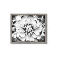 Picture of Black and White Flower _GroupedProduct_Rectangle_Landscape_Photography _GroupedProduct_Rectangle_Landscape_Framed_Matted_