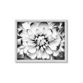 Picture of Black and White Flower _GroupedProduct_Rectangle_Landscape_Photography _GroupedProduct_Rectangle_Landscape_Framed_Matted_