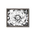 Picture of Black and White Flower _GroupedProduct_Rectangle_Landscape_Photography _GroupedProduct_Rectangle_Landscape_Framed_Matted_