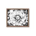Picture of Black and White Flower _GroupedProduct_Rectangle_Landscape_Photography _GroupedProduct_Rectangle_Landscape_Framed_Matted_