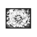 Picture of Black and White Flower _GroupedProduct_Rectangle_Landscape_Photography _GroupedProduct_Rectangle_Landscape_Framed_Matted_