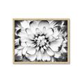 Picture of Black and White Flower _GroupedProduct_Rectangle_Landscape_Photography _GroupedProduct_Rectangle_Landscape_Framed_Matted_