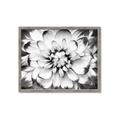 Picture of Black and White Flower _GroupedProduct_Rectangle_Landscape_Photography _GroupedProduct_Rectangle_Landscape_Framed_Matted_