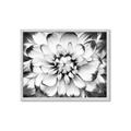 Picture of Black and White Flower _GroupedProduct_Rectangle_Landscape_Photography _GroupedProduct_Rectangle_Landscape_Framed_Matted_