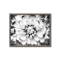 Picture of Black and White Flower _GroupedProduct_Rectangle_Landscape_Photography _GroupedProduct_Rectangle_Landscape_Framed_Matted_