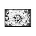 Picture of Black and White Flower _GroupedProduct_Rectangle_Landscape_Photography _GroupedProduct_Rectangle_Landscape_Framed_Matted_