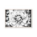 Picture of Black and White Flower _GroupedProduct_Rectangle_Landscape_Photography _GroupedProduct_Rectangle_Landscape_Framed_Matted_