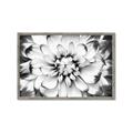 Picture of Black and White Flower _GroupedProduct_Rectangle_Landscape_Photography _GroupedProduct_Rectangle_Landscape_Framed_Matted_
