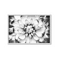 Picture of Black and White Flower _GroupedProduct_Rectangle_Landscape_Photography _GroupedProduct_Rectangle_Landscape_Framed_Matted_