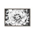 Picture of Black and White Flower _GroupedProduct_Rectangle_Landscape_Photography _GroupedProduct_Rectangle_Landscape_Framed_Matted_