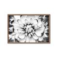 Picture of Black and White Flower _GroupedProduct_Rectangle_Landscape_Photography _GroupedProduct_Rectangle_Landscape_Framed_Matted_