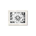 Picture of Black and White Flower _GroupedProduct_Rectangle_Landscape_Photography _GroupedProduct_Rectangle_Landscape_Framed_Matted_