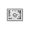 Picture of Black and White Flower _GroupedProduct_Rectangle_Landscape_Photography _GroupedProduct_Rectangle_Landscape_Framed_Matted_