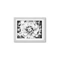 Picture of Black and White Flower _GroupedProduct_Rectangle_Landscape_Photography _GroupedProduct_Rectangle_Landscape_Framed_Matted_