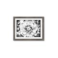 Picture of Black and White Flower _GroupedProduct_Rectangle_Landscape_Photography _GroupedProduct_Rectangle_Landscape_Framed_Matted_