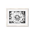 Picture of Black and White Flower _GroupedProduct_Rectangle_Landscape_Photography _GroupedProduct_Rectangle_Landscape_Framed_Matted_