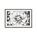 Picture of Black and White Flower _GroupedProduct_Rectangle_Landscape_Photography _GroupedProduct_Rectangle_Landscape_Framed_Matted_