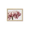 Picture of Flower isolated _GroupedProduct_Rectangle_Landscape_Photography _GroupedProduct_Rectangle_Landscape_Framed_Matted_