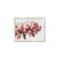 Picture of Flower isolated _GroupedProduct_Rectangle_Landscape_Photography _GroupedProduct_Rectangle_Landscape_Framed_Matted_