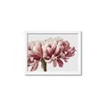 Picture of Flower isolated _GroupedProduct_Rectangle_Landscape_Photography _GroupedProduct_Rectangle_Landscape_Framed_Matted_
