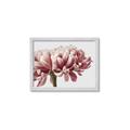 Picture of Flower isolated _GroupedProduct_Rectangle_Landscape_Photography _GroupedProduct_Rectangle_Landscape_Framed_Matted_