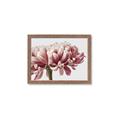 Picture of Flower isolated _GroupedProduct_Rectangle_Landscape_Photography _GroupedProduct_Rectangle_Landscape_Framed_Matted_