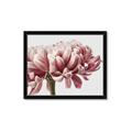 Picture of Flower isolated _GroupedProduct_Rectangle_Landscape_Photography _GroupedProduct_Rectangle_Landscape_Framed_Matted_
