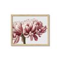 Picture of Flower isolated _GroupedProduct_Rectangle_Landscape_Photography _GroupedProduct_Rectangle_Landscape_Framed_Matted_