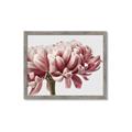 Picture of Flower isolated _GroupedProduct_Rectangle_Landscape_Photography _GroupedProduct_Rectangle_Landscape_Framed_Matted_