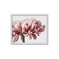 Picture of Flower isolated _GroupedProduct_Rectangle_Landscape_Photography _GroupedProduct_Rectangle_Landscape_Framed_Matted_