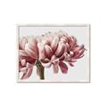 Picture of Flower isolated _GroupedProduct_Rectangle_Landscape_Photography _GroupedProduct_Rectangle_Landscape_Framed_Matted_