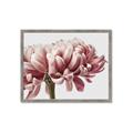 Picture of Flower isolated _GroupedProduct_Rectangle_Landscape_Photography _GroupedProduct_Rectangle_Landscape_Framed_Matted_
