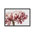 Picture of Flower isolated _GroupedProduct_Rectangle_Landscape_Photography _GroupedProduct_Rectangle_Landscape_Framed_Matted_
