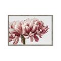 Picture of Flower isolated _GroupedProduct_Rectangle_Landscape_Photography _GroupedProduct_Rectangle_Landscape_Framed_Matted_