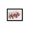 Picture of Flower isolated _GroupedProduct_Rectangle_Landscape_Photography _GroupedProduct_Rectangle_Landscape_Framed_Matted_