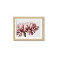 Picture of Flower isolated _GroupedProduct_Rectangle_Landscape_Photography _GroupedProduct_Rectangle_Landscape_Framed_Matted_