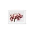 Picture of Flower isolated _GroupedProduct_Rectangle_Landscape_Photography _GroupedProduct_Rectangle_Landscape_Framed_Matted_