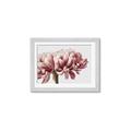 Picture of Flower isolated _GroupedProduct_Rectangle_Landscape_Photography _GroupedProduct_Rectangle_Landscape_Framed_Matted_
