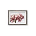 Picture of Flower isolated _GroupedProduct_Rectangle_Landscape_Photography _GroupedProduct_Rectangle_Landscape_Framed_Matted_
