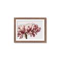 Picture of Flower isolated _GroupedProduct_Rectangle_Landscape_Photography _GroupedProduct_Rectangle_Landscape_Framed_Matted_